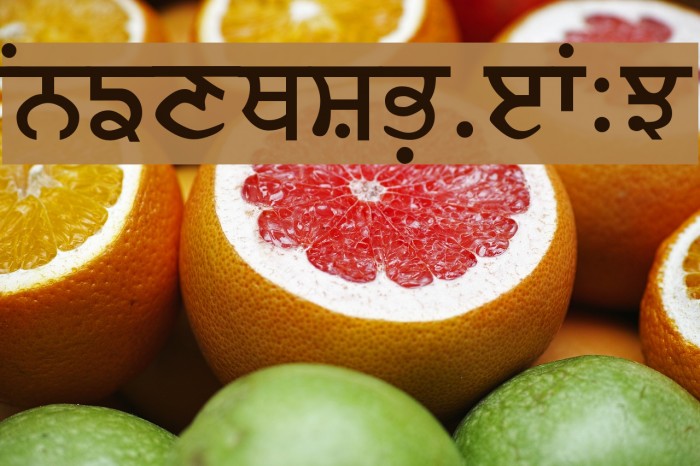 Merapunjab Font examples