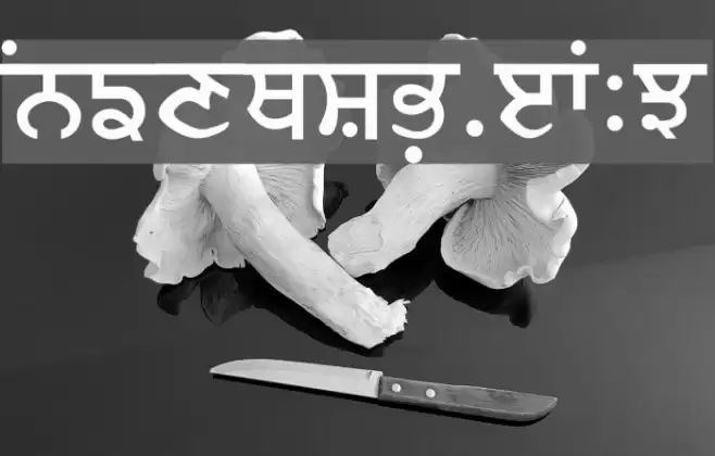 Merapunjab Font examples