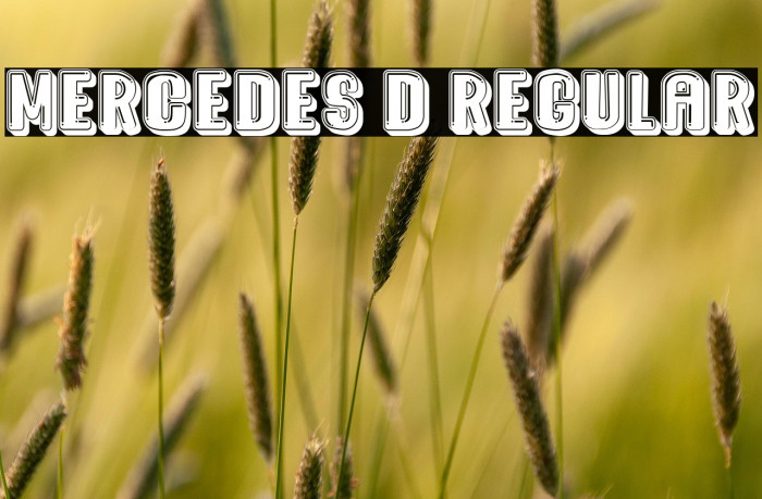 Mercedes 3D Regular Example 2