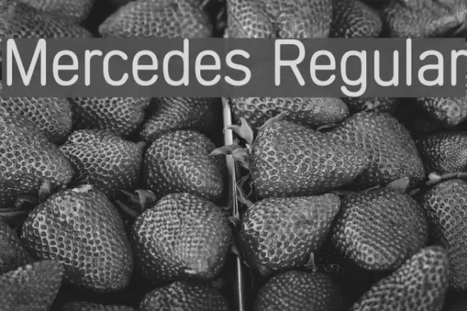 Mercedes Regular Font examples