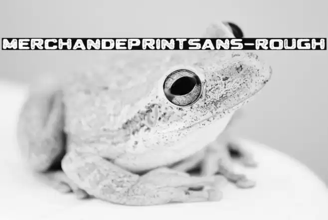 MerchandePrintSans-Rough Font examples