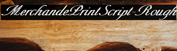 MerchandePrintScript-Rough Example 1