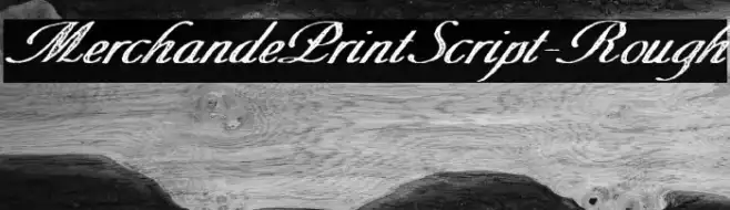 MerchandePrintScript-Rough Example 1