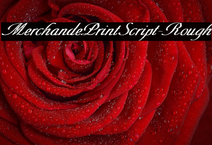 MerchandePrintScript-Rough Example 2