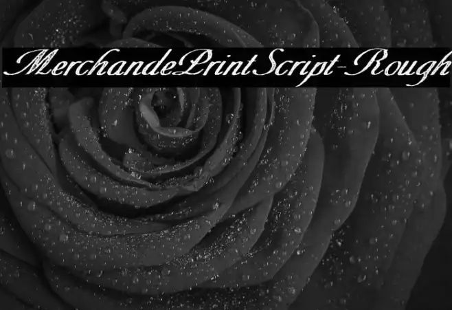 MerchandePrintScript-Rough Example 2
