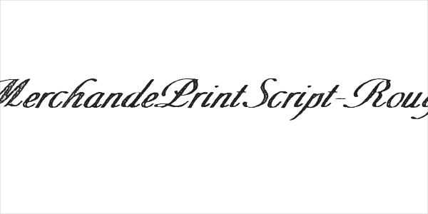 MerchandePrintScript-Rough Logo