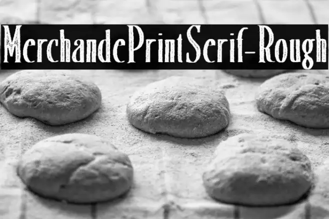 MerchandePrintSerif-Rough Example 1
