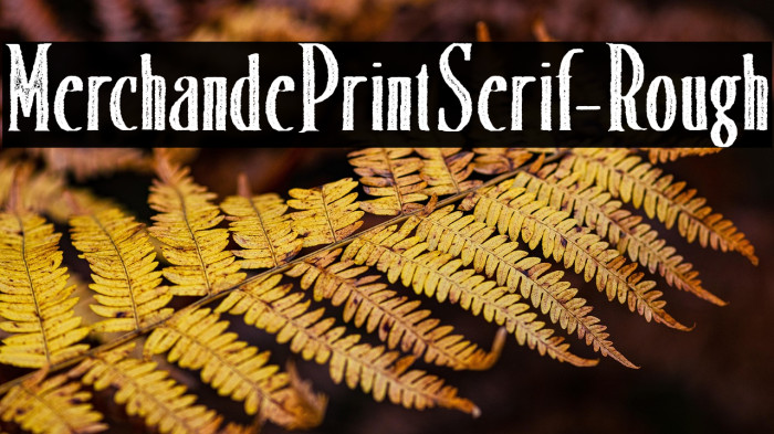 MerchandePrintSerif-Rough Example 2