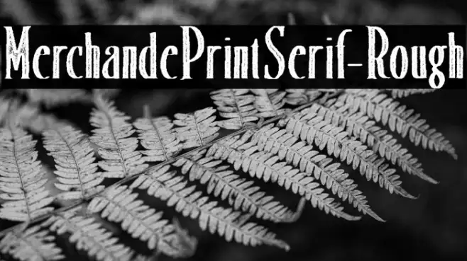 MerchandePrintSerif-Rough Example 2