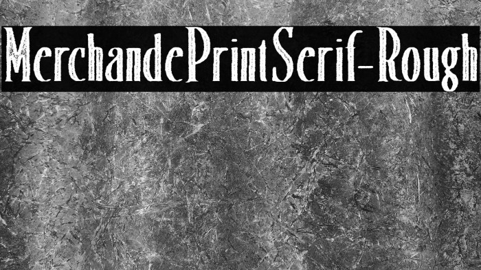 MerchandePrintSerif-Rough Example 3