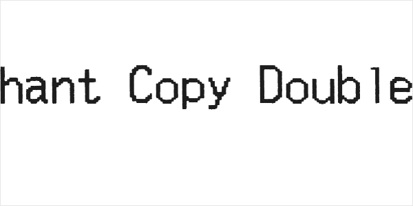 Merchant Copy Doublesize Logo