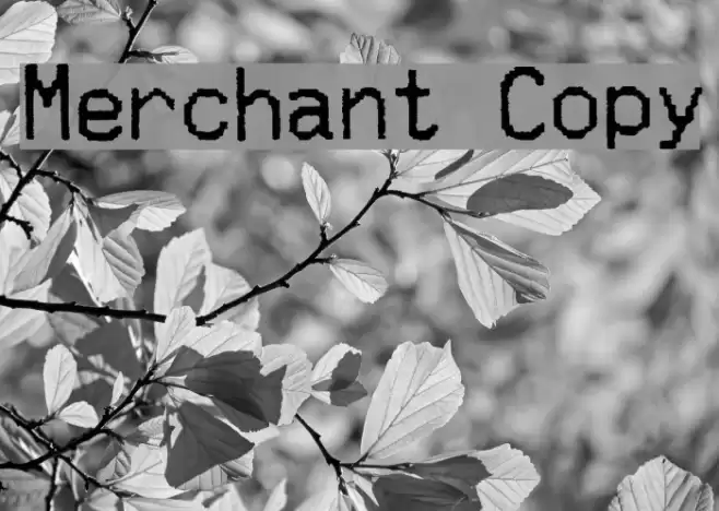 Merchant Copy Font examples