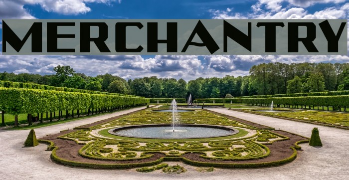 Merchantry Example 1