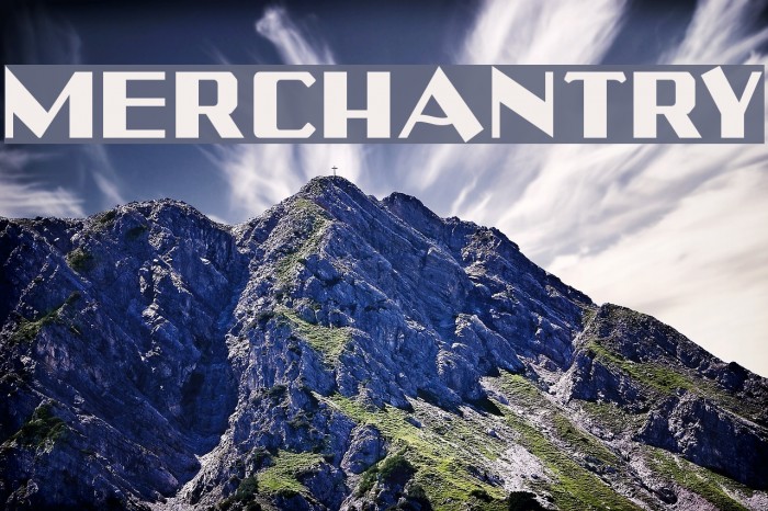 Merchantry Example 2