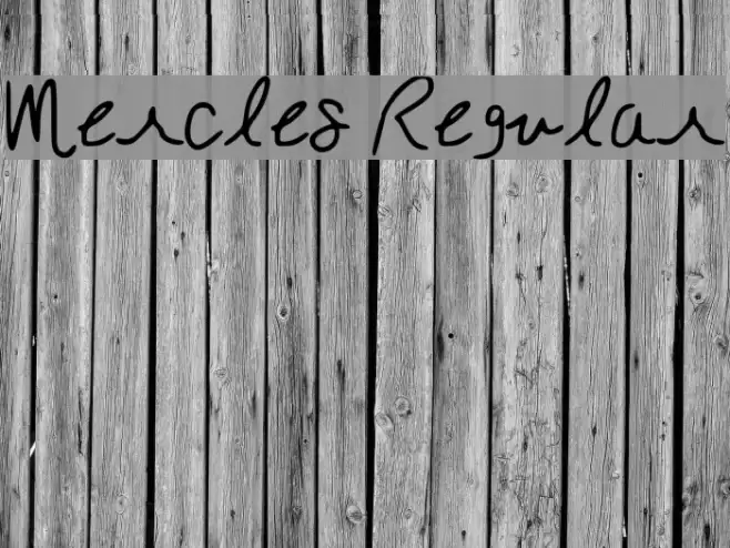 Mercles Regular Font examples