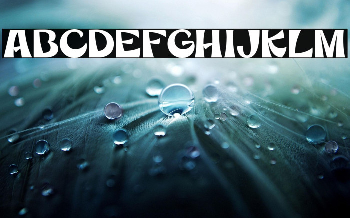 MercuriaDemo Example 1