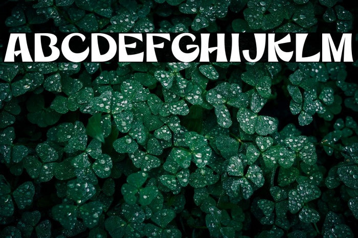 MercuriaDemo Example 2