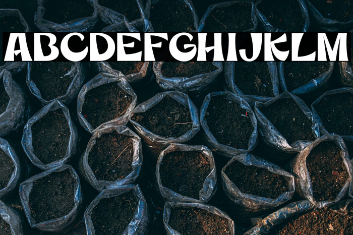 MercuriaDemo Example 3