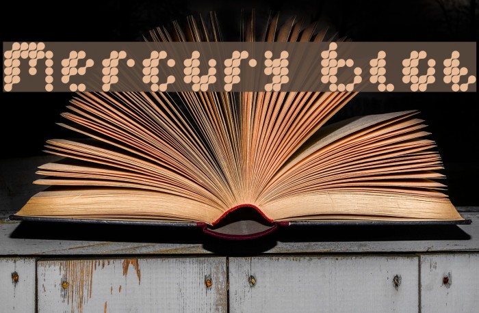 Mercury Blob Font examples