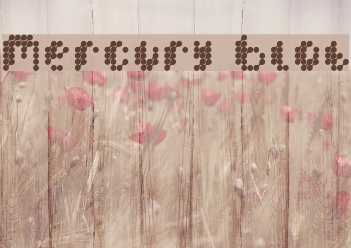 Mercury Blob Font examples
