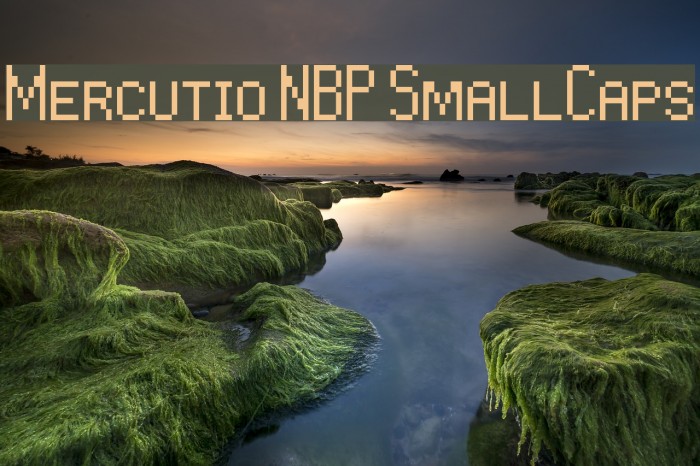 Mercutio NBP SmallCaps Example 3