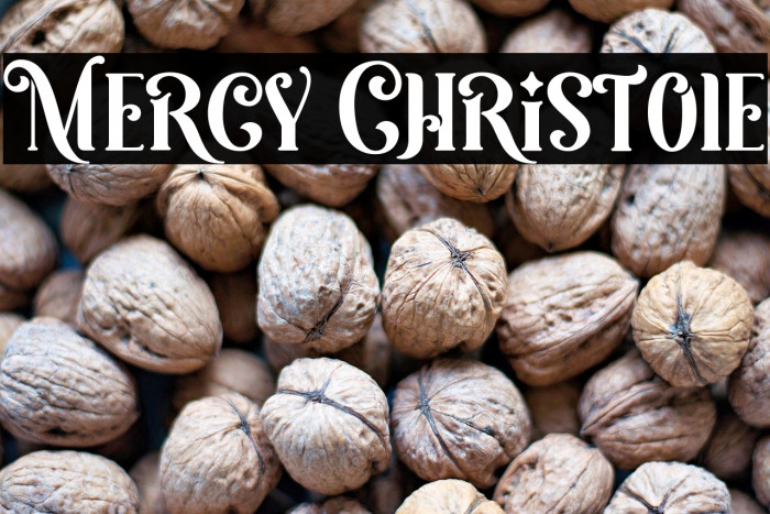 Mercy Christole Example 2