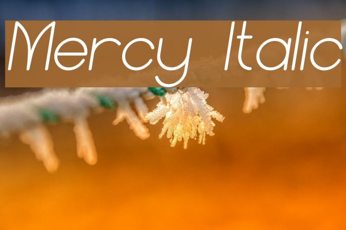 Mercy Italic Font examples