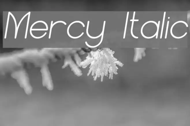 Mercy Italic Example 2