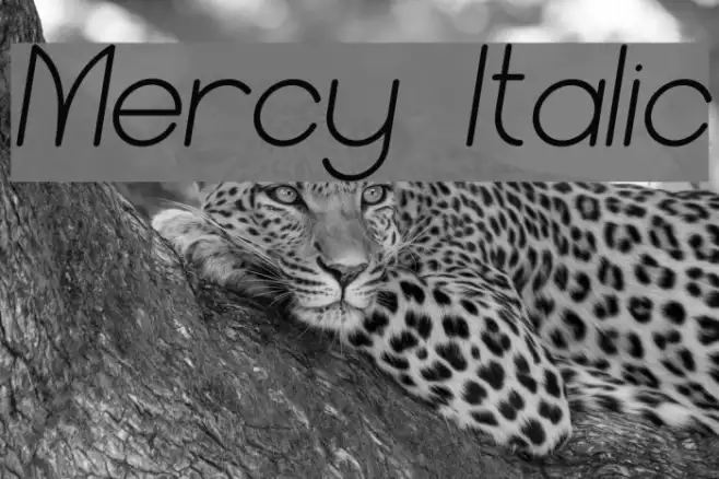 Mercy Italic Example 3