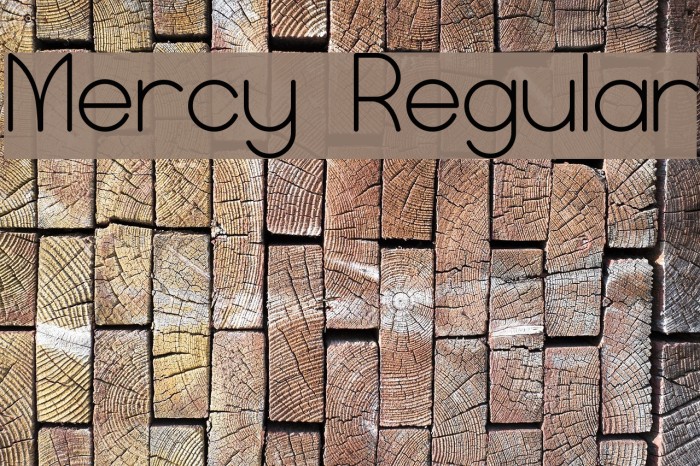 Mercy Regular Font examples