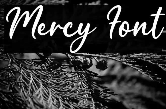 Mercy Example 1
