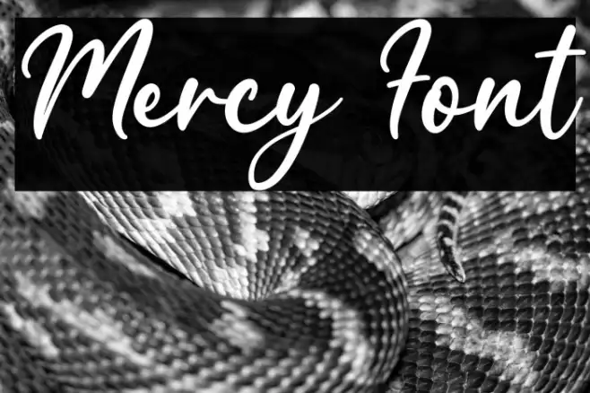 Mercy Example 3