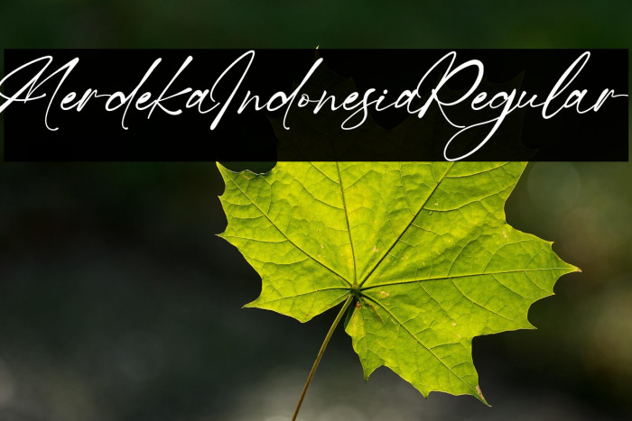 MerdekaIndonesiaRegular Example 2