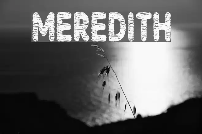 Meredith Font examples