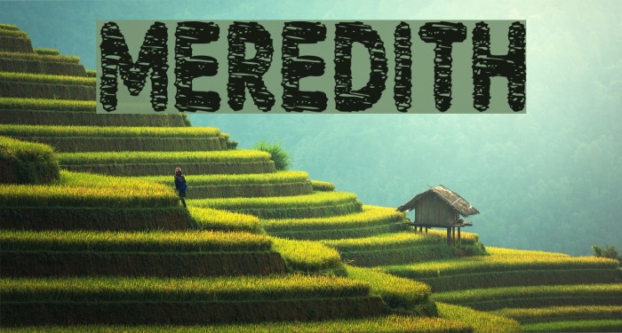 Meredith फ़ॉन्ट examples