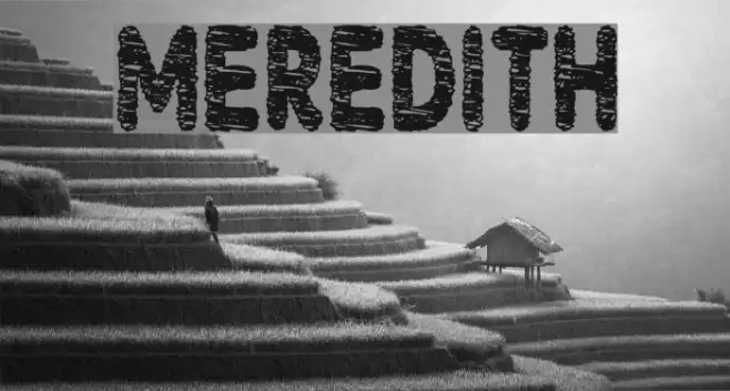 Meredith Font examples