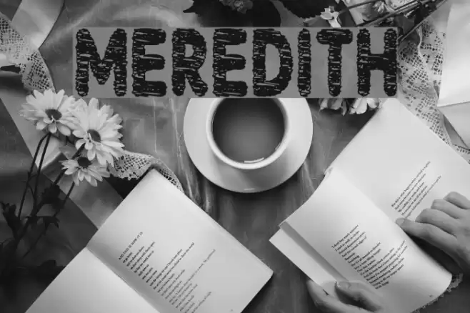 Meredith Font examples