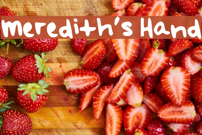 Meredith's Hand Font examples