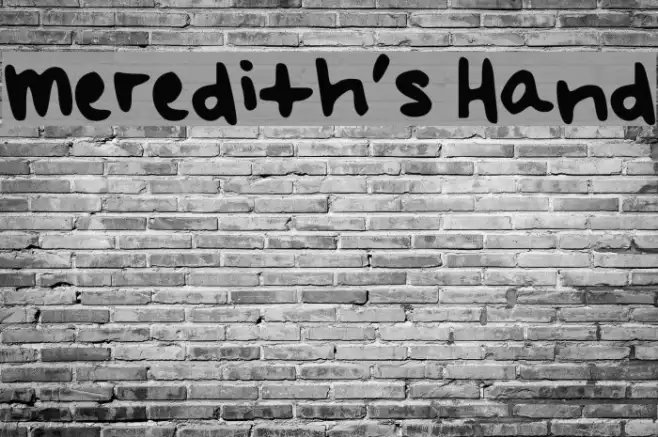 Meredith's Hand Example 3