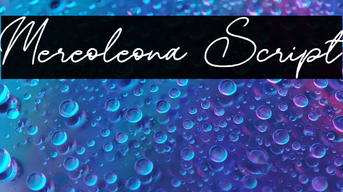 Mereoleona Script Example 1