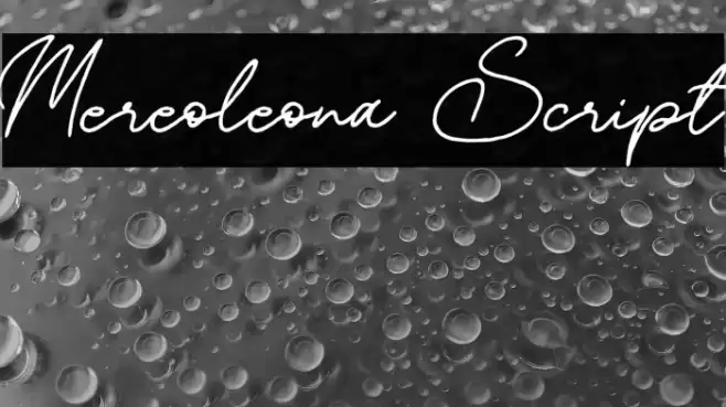 Mereoleona Script Font examples