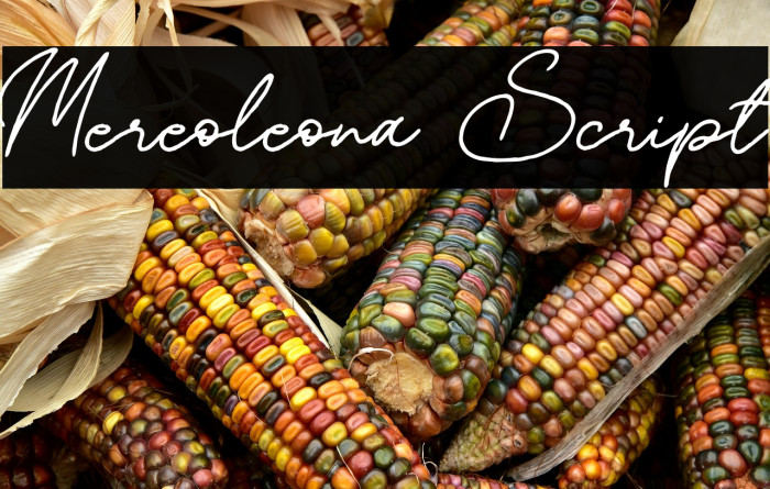 Mereoleona Script Example 3