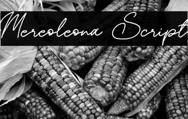 Mereoleona Script Font examples