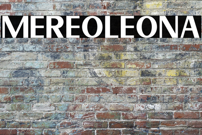 Mereoleona Example 1