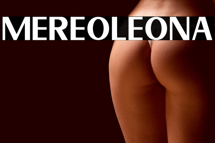 Mereoleona Example 2
