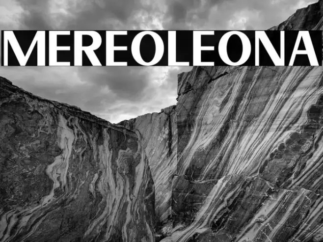 Mereoleona Example 3