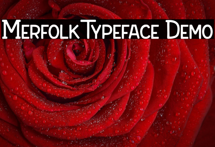 Merfolk Typeface Demo Example 1