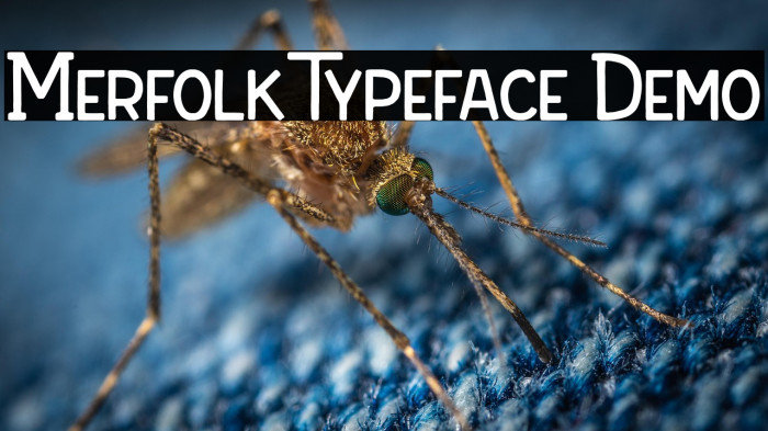 Merfolk Typeface Demo Example 2