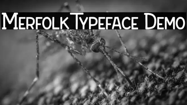 Merfolk Typeface Demo Example 2