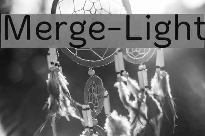 Merge-Light Example 2